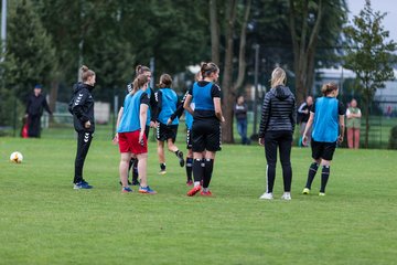Bild 149 - Frauen HSV - SV Henstedt Ulzburg : Ergebnis: 1:4